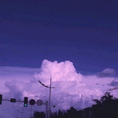 快三彩票app平台官方下载